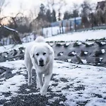 Lägenhet Pod Krakowem - Stare Sady *