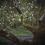 Pod Krakowem - Stare Sady Lägenhet