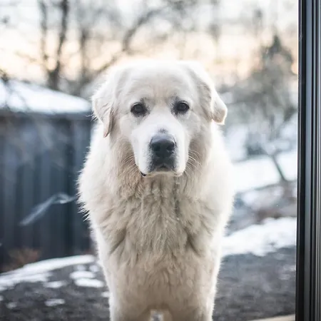 Apartment Pod Krakowem - Stare Sady *