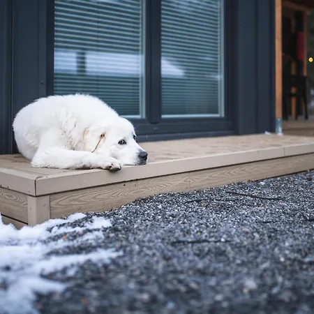 Pod Krakowem - Stare Sady *