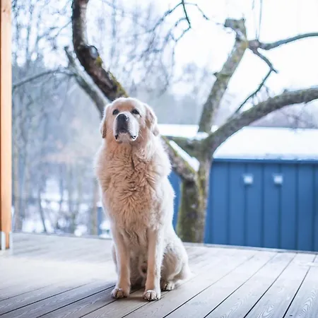 Apartment Pod Krakowem - Stare Sady