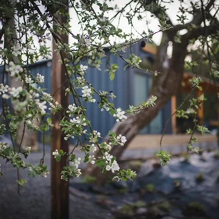 Pod Krakowem - Stare Sady *