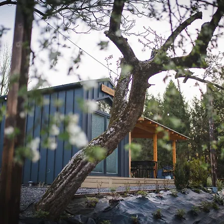 Pod Krakowem - Stare Sady Kopytowka