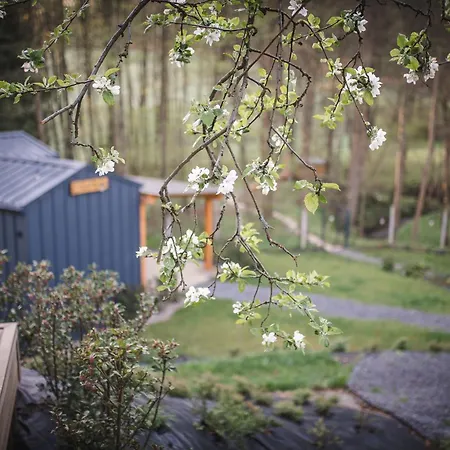 Apartment Pod Krakowem - Stare Sady *