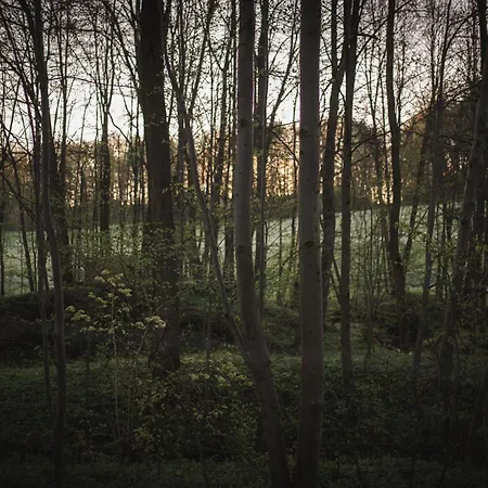 Pod Krakowem - Stare Sady Apartmán